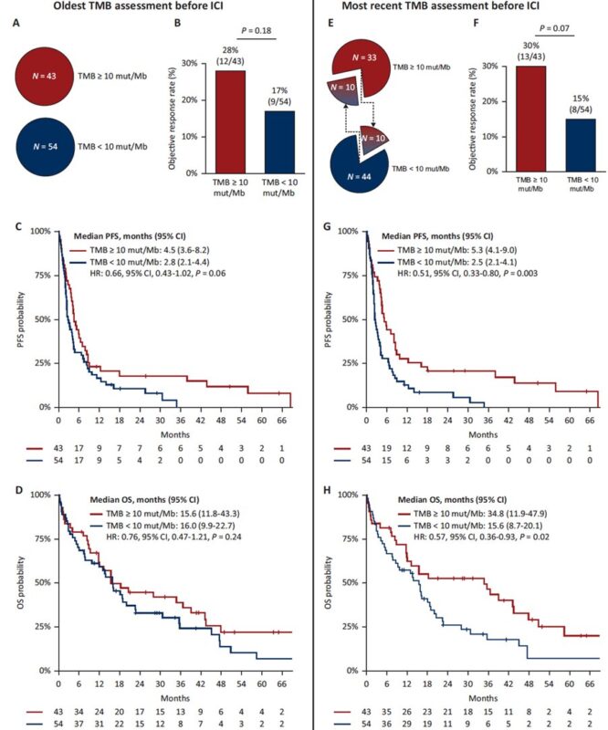 Markus Eckstein: A huge paper corroborating results that we published in European Urology for urothelial cancer