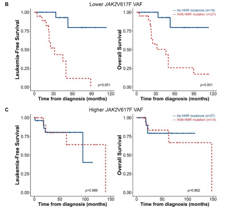 Yu-Hung Wang: Our latest myelofibrosis research