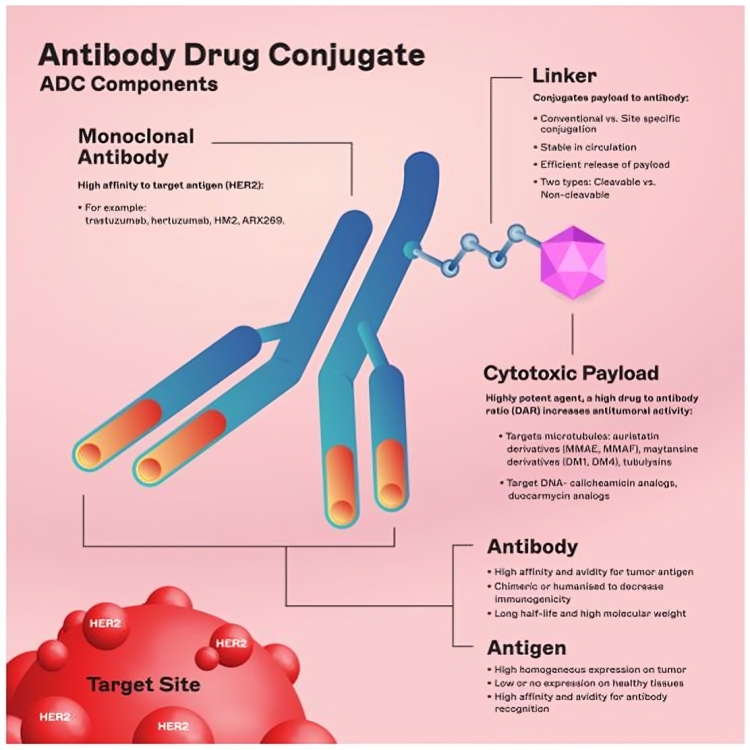 Cancers MDPI