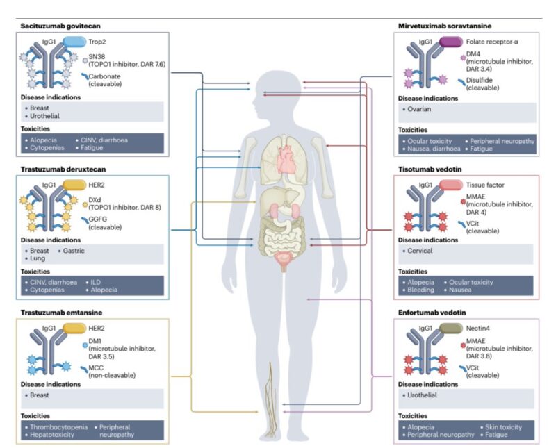 Paolo Tarantino: My 100th scientific publication