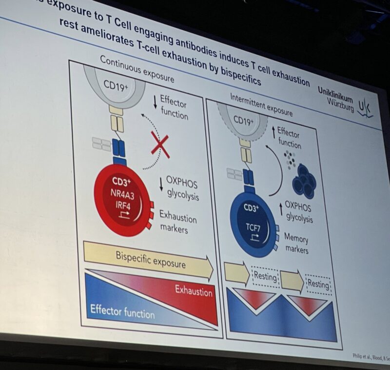 Highlights from The 7th Translational Research Conference on Multiple Myeloma (ESHMM2024)