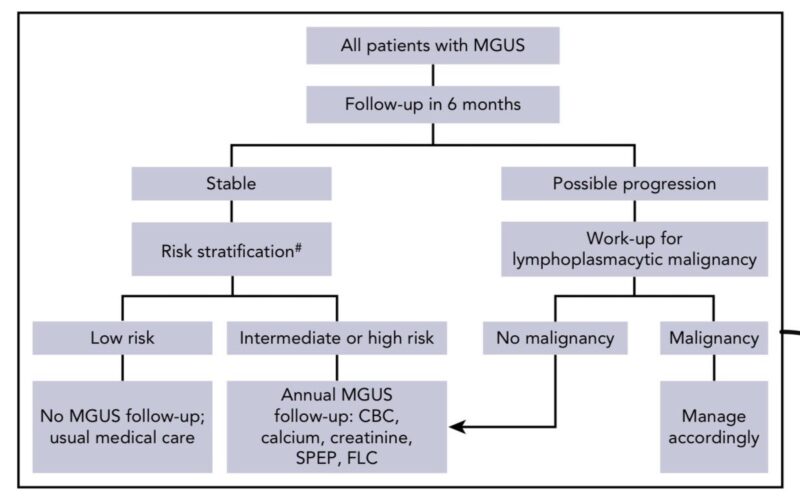 Vincent Rajkumar: A quick primer on interpreting the serum FLC ratio