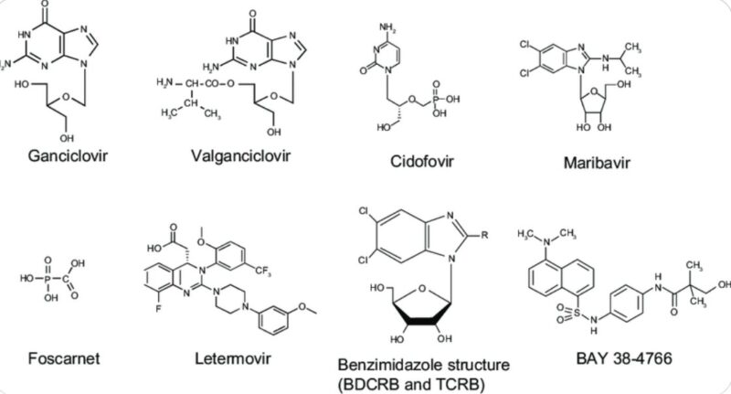 Aaron Goodman: CMV drugs!