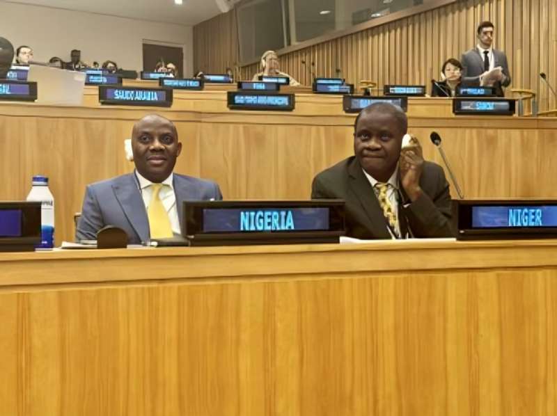 Tunji Alausa: High-Level meeting on Anti Microbial Resistance