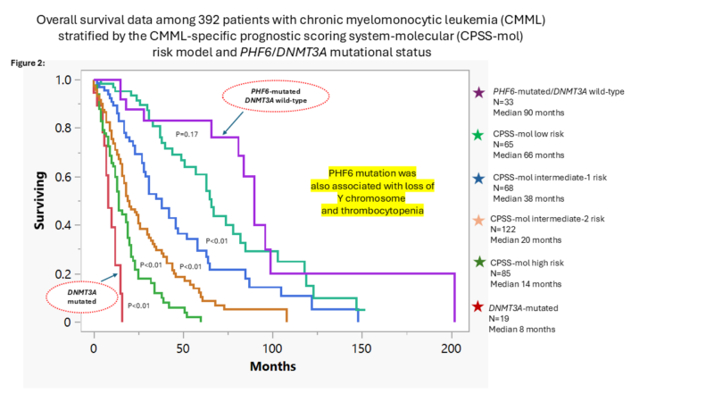 Novel association between PHF6 mutations and prognosis in chronic myelomonocytic leukemia - American Journal of Hematology