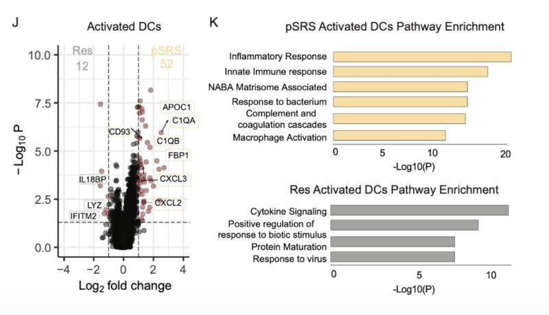 Carey Jansen: Pre-op SRS and the immune microenvironment of human brain metastases