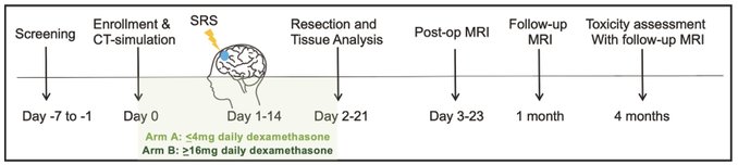 Carey Jansen: Pre-op SRS and the immune microenvironment of human brain metastases