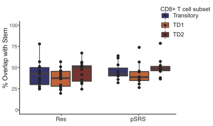 Carey Jansen: Pre-op SRS and the immune microenvironment of human brain metastases