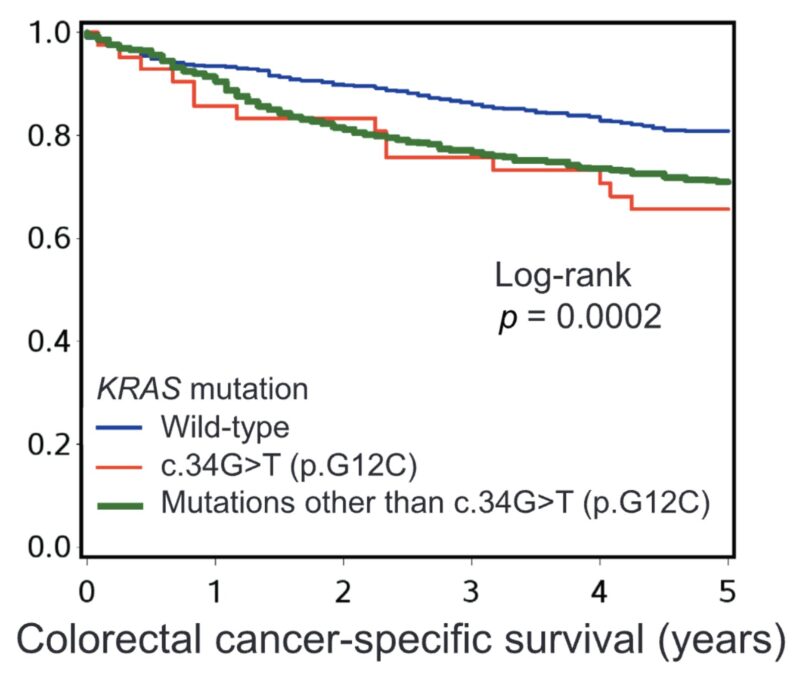 Jonathan A. Nowak: KRAS G12C mutations are predictive of response in CRCs