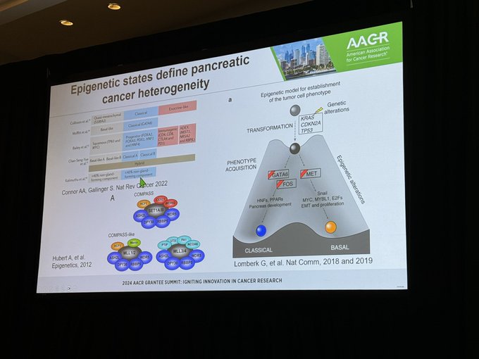 WRAD complex's impact on epigenetic regulation and immunoediting in PDAC by Francesca Citron