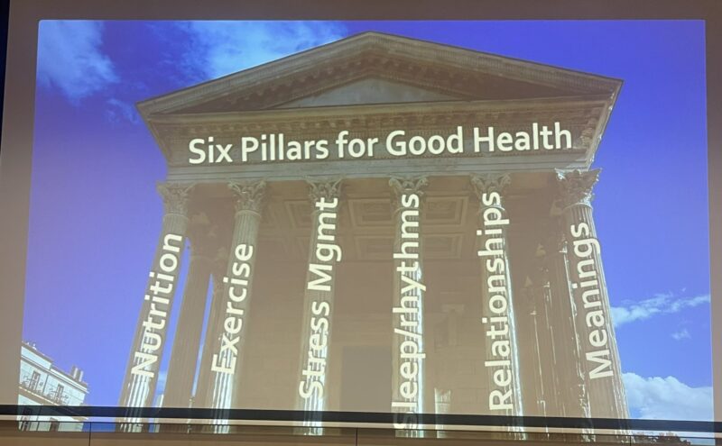 Elisa Agostinetto: Gary Deng's 6 pillars for good health