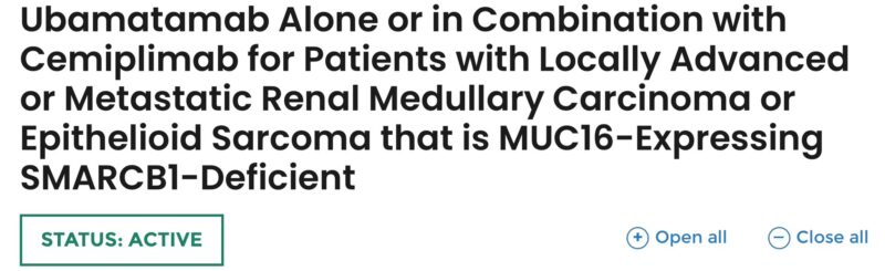 Treatment strategies for renal medullary carcinoma and epithelioid sarcoma