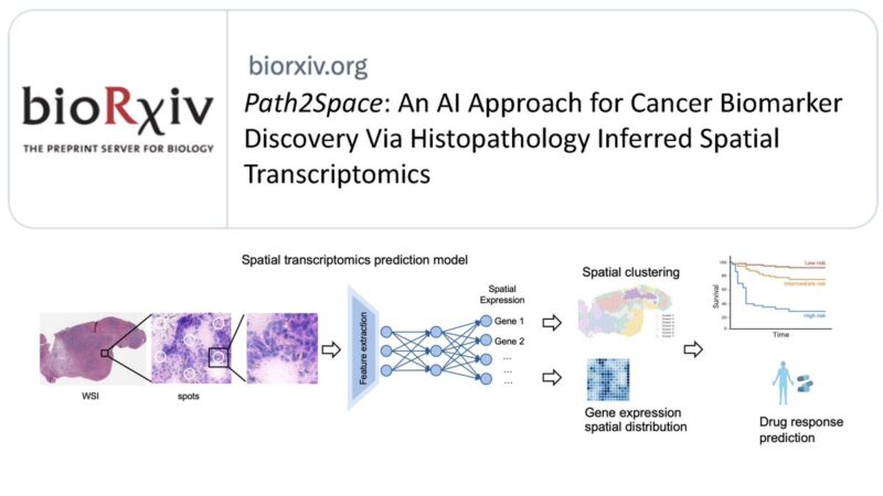 Eytan Ruppin: The first AI to discover spatial biomarkers for cancer treatment