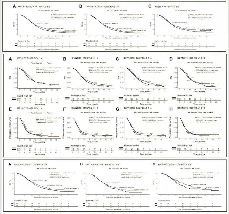 Immune checkpoint inhibitors in advanced gastroesophageal adenocarcinoma, summarised by Arndt Vogel