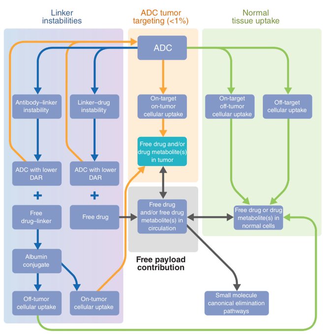 Nirmit Kumar: Great overview of the history of Antibody Drug Conjugates by Raffaele Colombo et al.