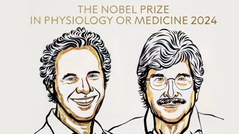 Victor Ambros and Gary Ruvkun Awarded 2024 Nobel Prize in Medicine for MicroRNA Discovery