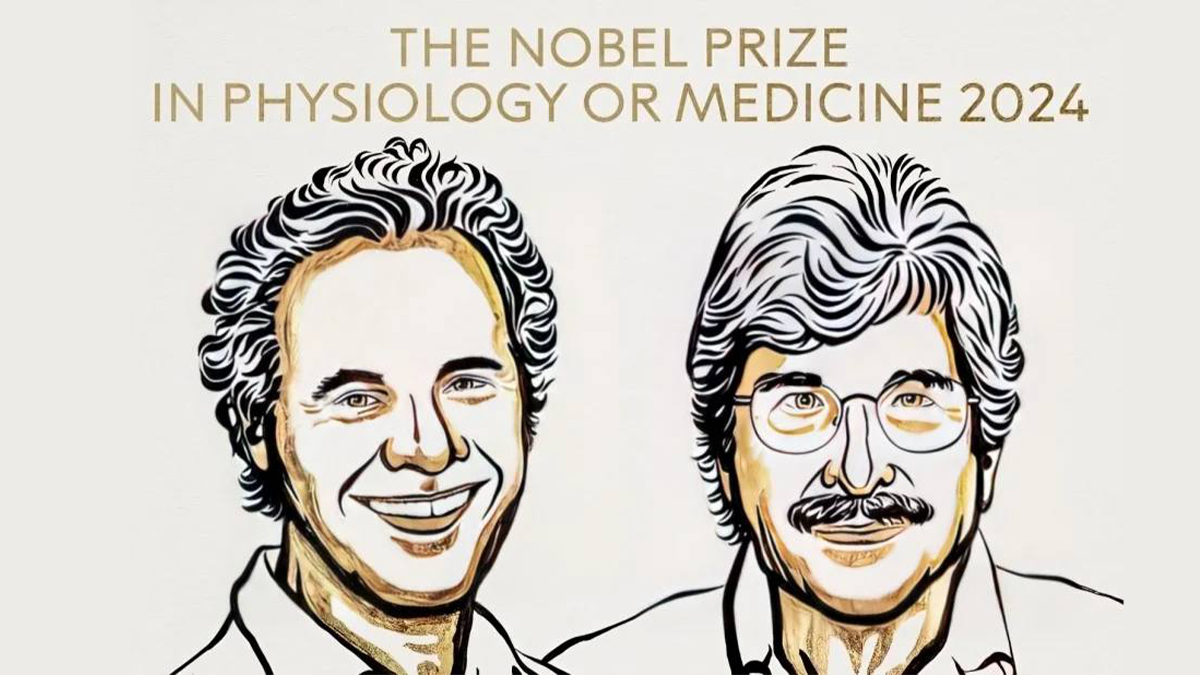 Victor Ambros and Gary Ruvkun Awarded 2024 Nobel Prize in Medicine for MicroRNA Discovery