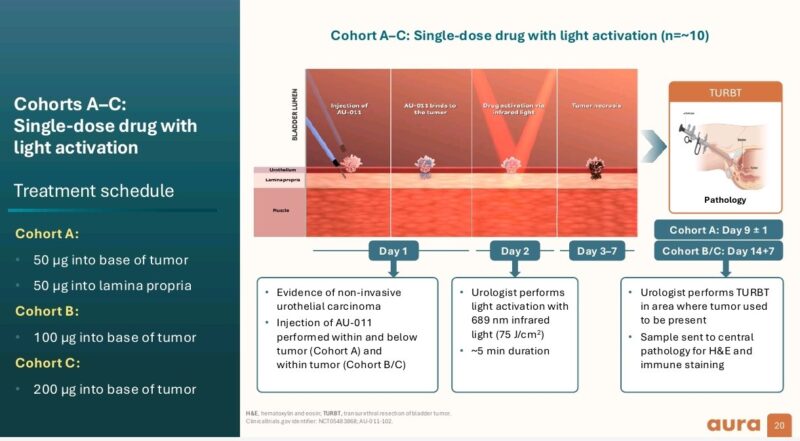 Early results from a Phase 1 trial of Aura Biosciences drug bel-sar (AU-011)