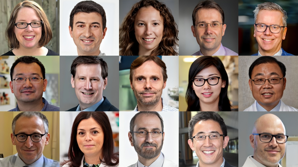 4th Annual IMS Translational Research Award Winners: Part 2