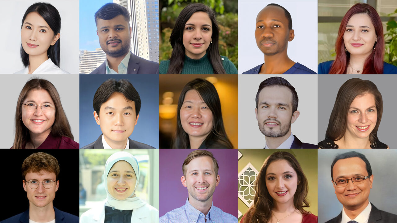 2024 Young SIOP Investigators Award winners