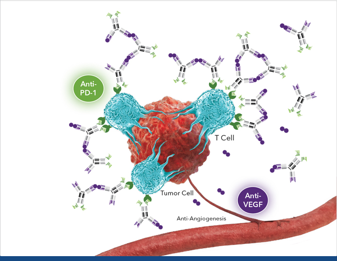 Ivonescimab in Combination Therapy for Extensive-Stage Small Cell Lung Cancer