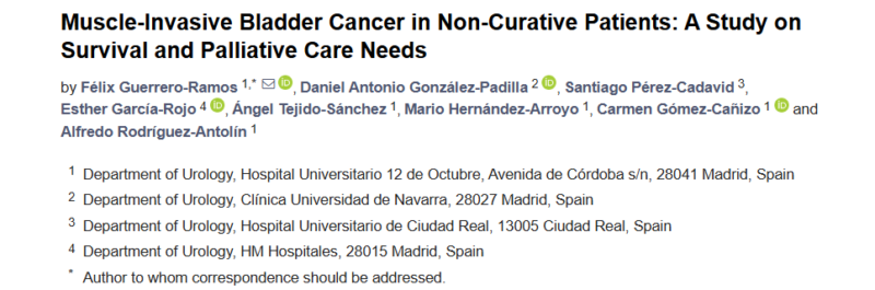 María Natalia Gandur Quiroga: Muscle-Invasive Bladder Cancer in Non-Curative Patients