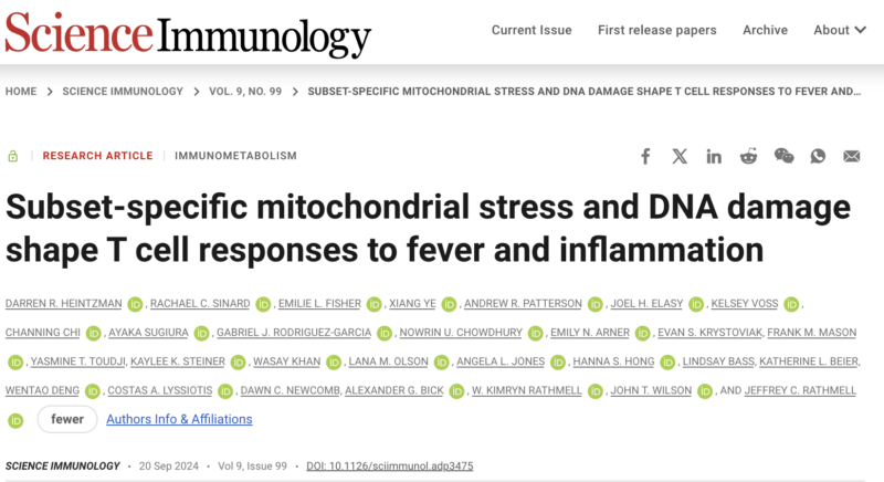 Monica Bertagnolli: The way cells respond to heat and how chronic inflammation contributes to the development of cancer