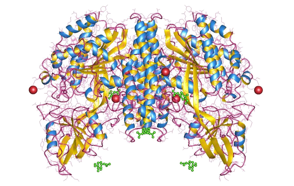 A New Approach in Targeted Cancer Therapy: Transferrin Receptor Targeting Chimeras – The Babak Lab