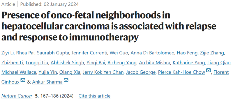 Elvina Almuradova: "Oncofetal ecosystem" in HCC linked to early relapse after surgery