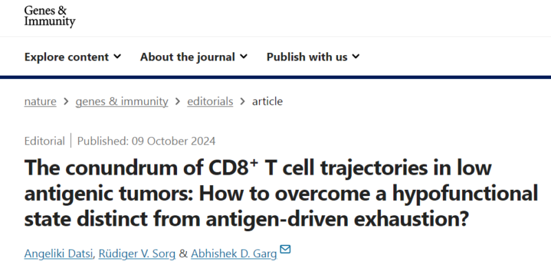 The conundrum of CD8+T cells in low antigenic tumours - Cell Stress and Immunity (CSI) Lab