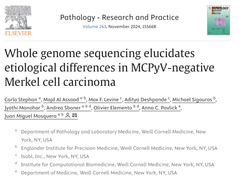 Whole genome sequencing in MCPyV-negative Merkel cell carcinoma