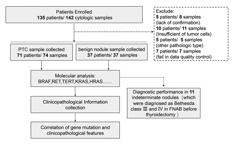 Correlation Between Genetic Alterations and Clinicopathological Features of Papillary Thyroid Carcinomas