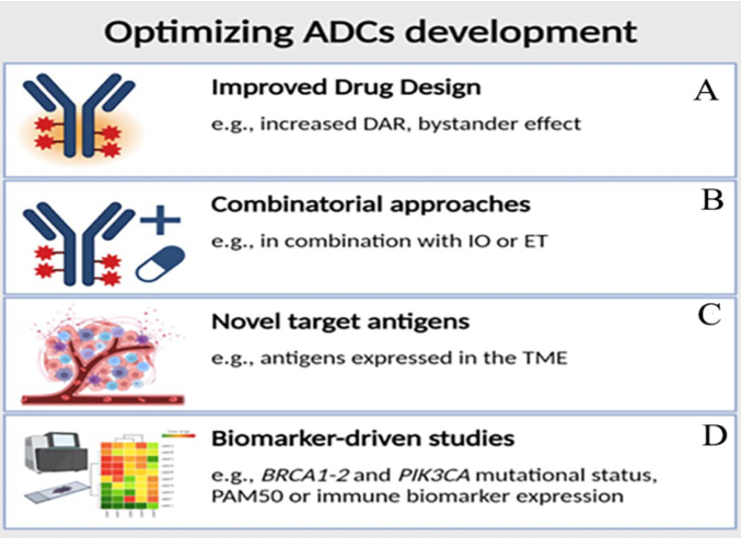 Paper Alert ! Use of Antibody–Drug Conjugates in the Early Setting of Breast Cancer