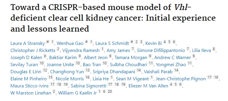 CRISPR-based mouse model for VHL-deficient clear cell kidney cancer shows promise, suggested by Yüksel Ürün