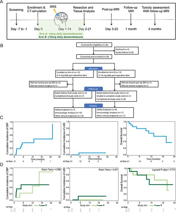 Carey Jansen: Pre-op SRS and the immune microenvironment of human brain metastases