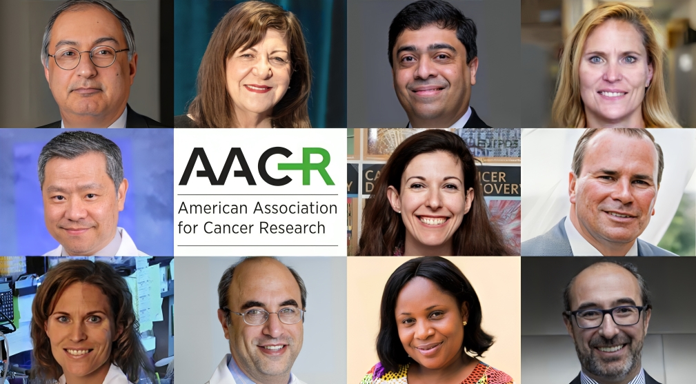 Highlights from the AACR Grantee Summit