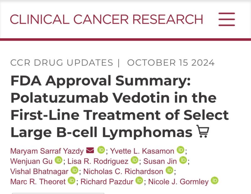 Maryam Yazdy: Polatuzumab Vedotin in the First-Line Treatment of Select Large B-cell Lymphomas