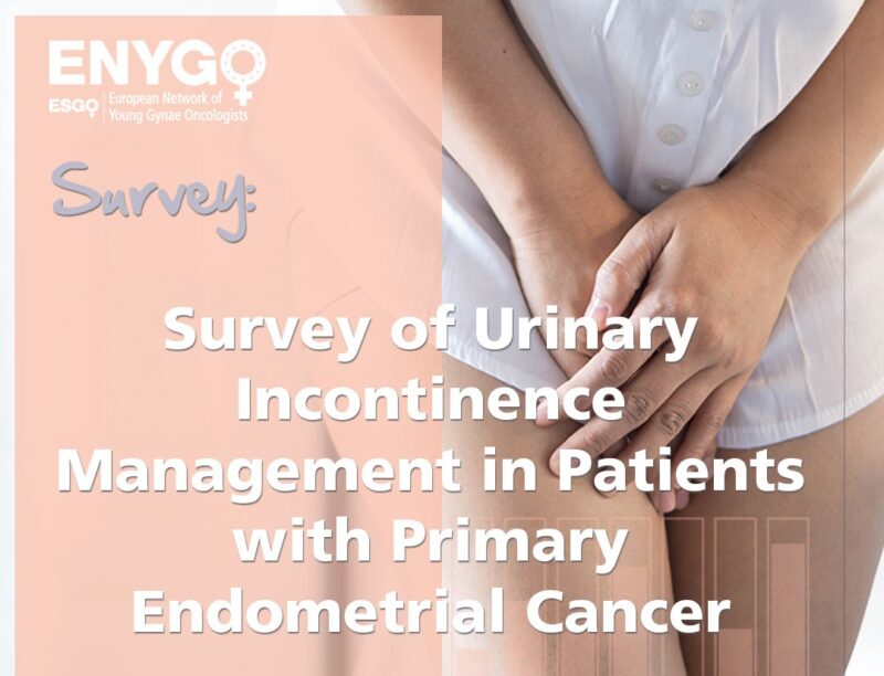 Urinary Incontinence Management in Patients with Primary Endometrial Cancer