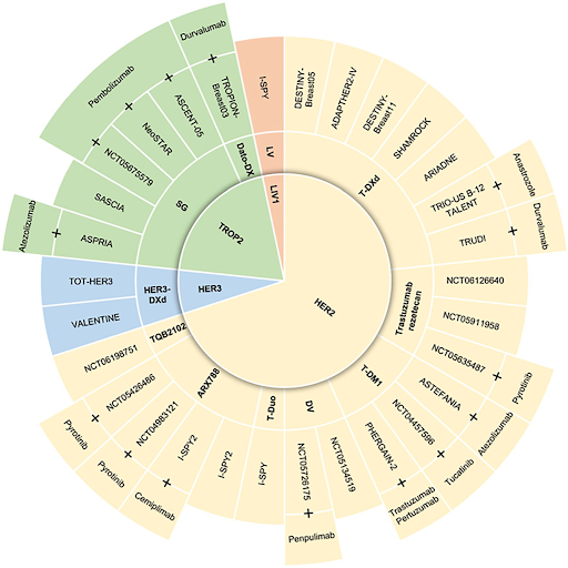 Paper Alert ! Use of Antibody–Drug Conjugates in the Early Setting of Breast Cancer