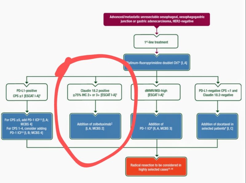 The ESMO Gastric Cancer Living Guideline and Slide Set are updated