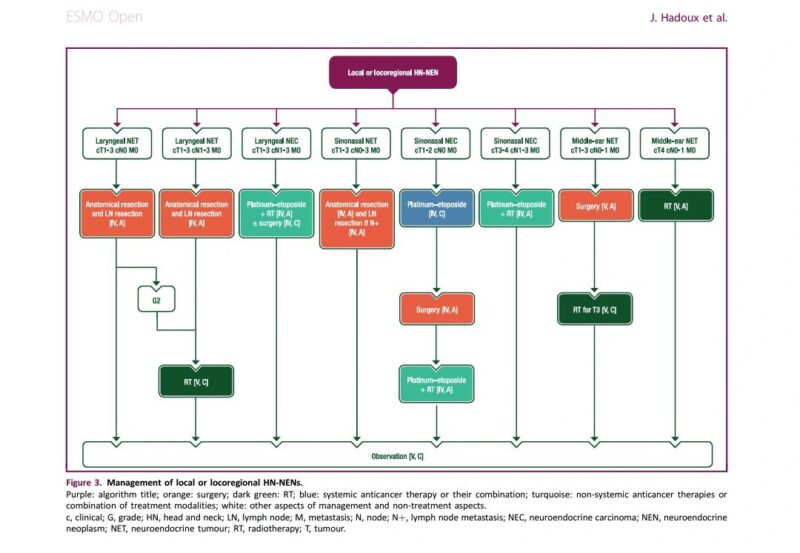 Amol Akhade: How to manage rare endocrine and Neuroendocrine Tumors