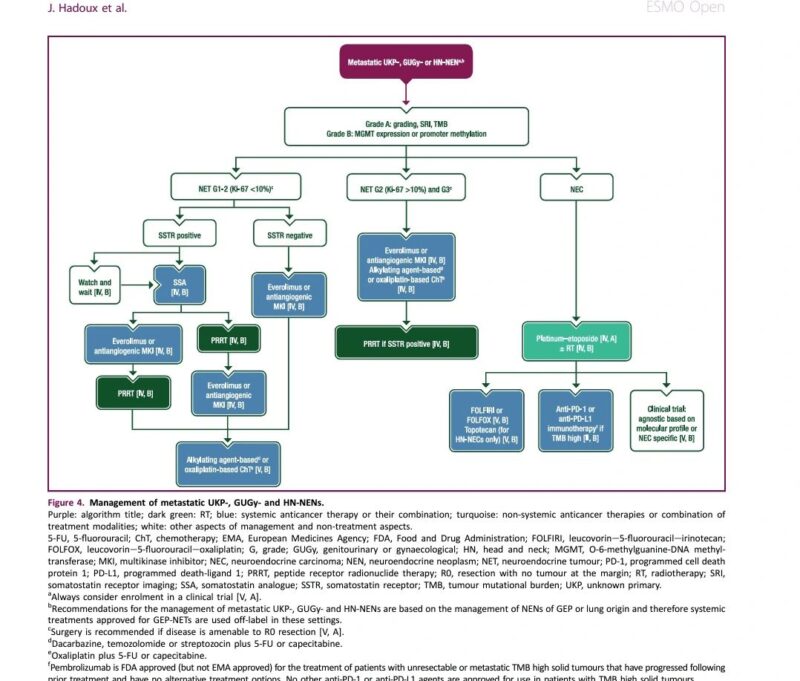 Amol Akhade: How to manage rare endocrine and Neuroendocrine Tumors