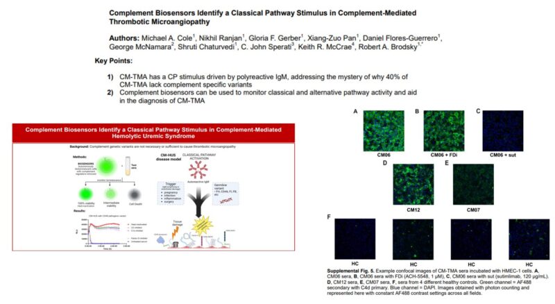 Robert Brodsky: Classical pathway stimulus on multiple cell surfaces including endothelial cells