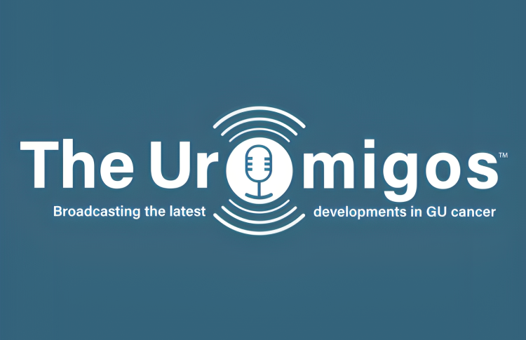 PD-1 therapy rechallange after adjuvant pembrolizumab in renal cancer – Uromigos