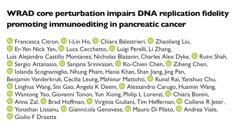 Genomic Stability Thresholds and DPY30 as a Biomarker in Pancreatic Cancer