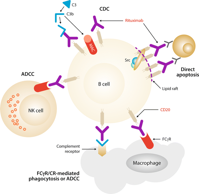 immunotherapy for lymphoma