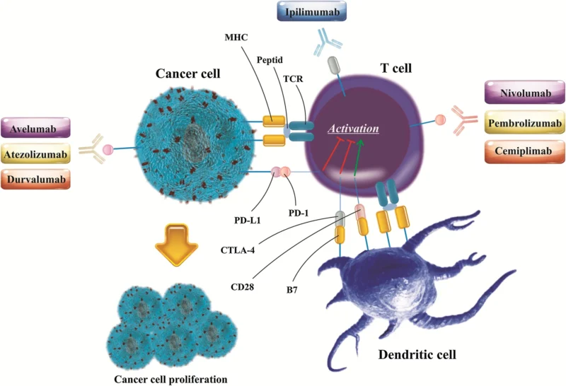 Overview of ASCO Breakthrough