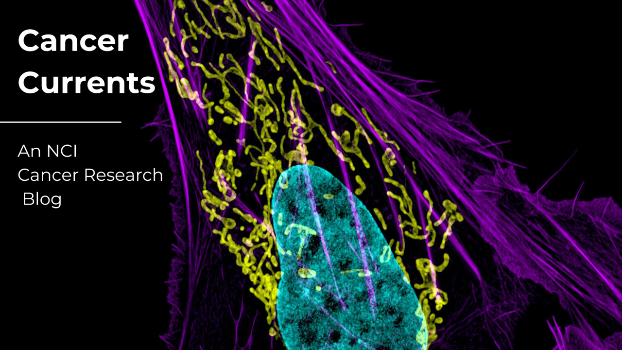 Cancer Currents Highlights: Studies Aim to Improve and Expand Cancer Screening – NCI