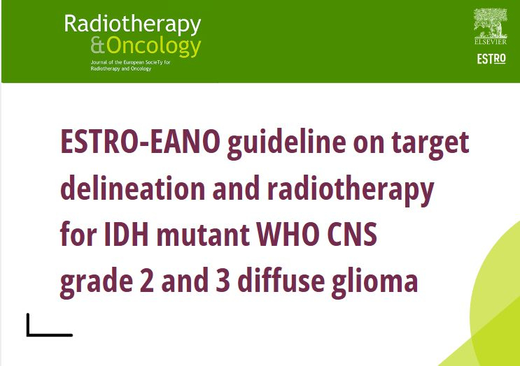 ESTRO-EANO guideline on target delineation and radiotherapy for grade 2 and 3 diffuse glioma