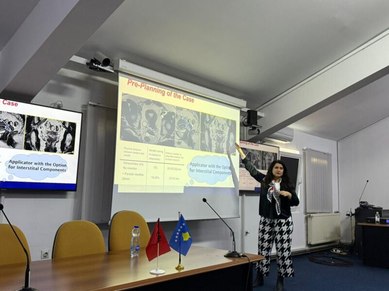 The Latest ESO Visiting Professor Meeting in Pristina with Alina Sturdza